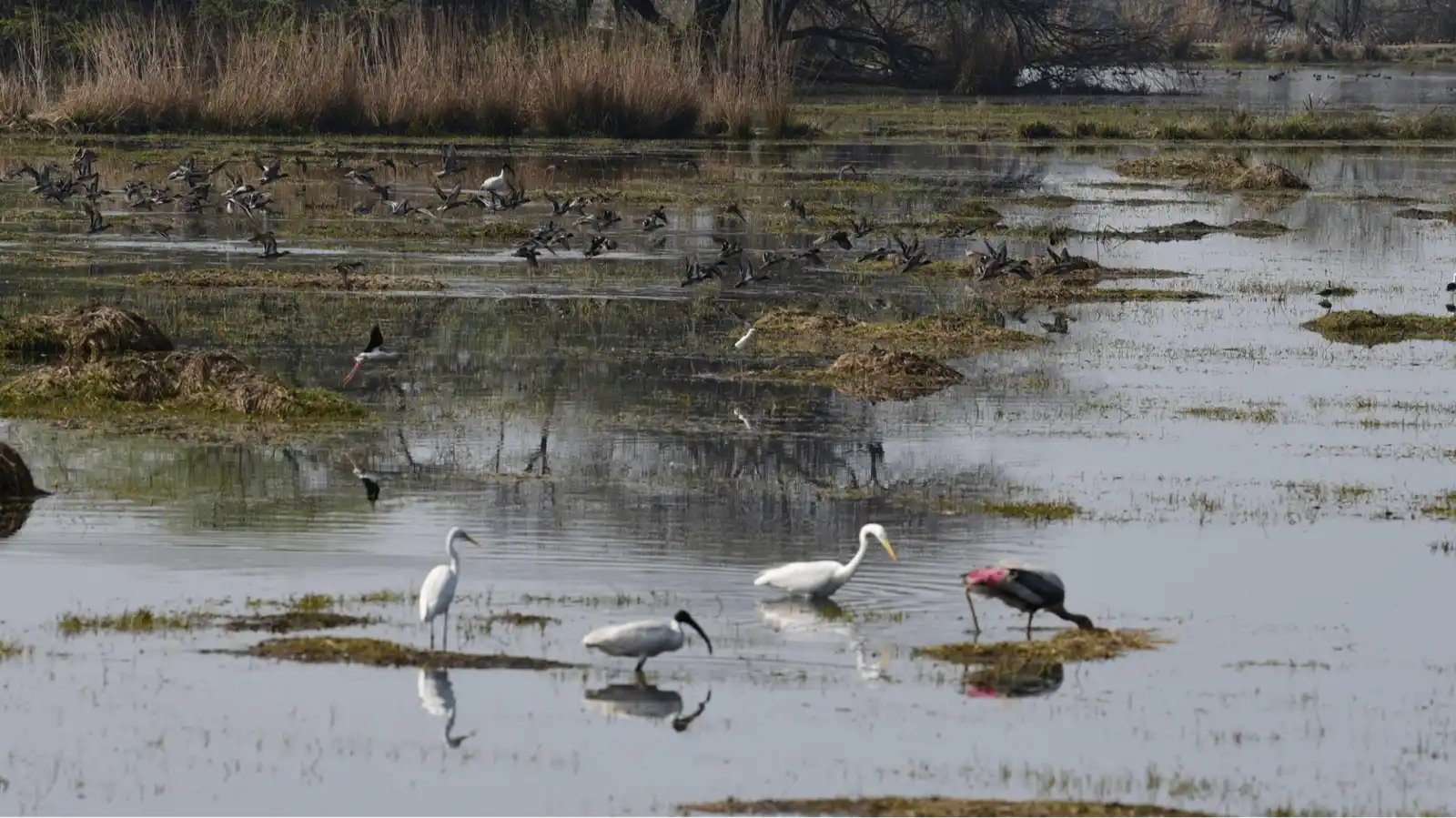 Sultanpur National Park